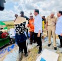 Presiden Minta Hitung Ulang HPP Gabah dan Beras, Bapanas Cabut Surat Edaran