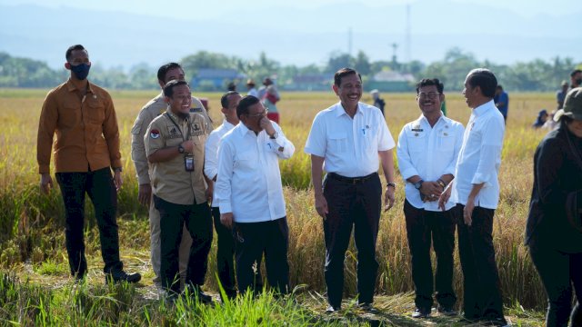 Presiden Joko Widodo meninjau panen raya padi di Desa Baji Pa'mai, Kecamatan Maros Baru, Kabupaten Maros, Kamis, 30 Maret 2023.