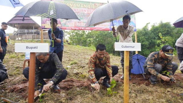 Kembalikan Kejayaan Sutera, Gubernur Andi Sudirman  Tanam 1 Juta Bibit Murbei di Wajo