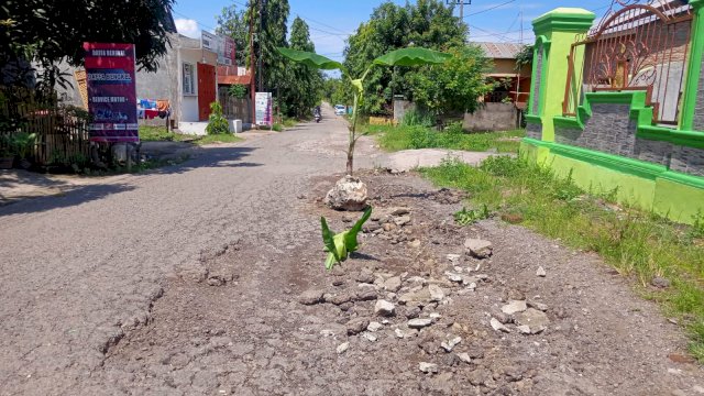 Kondisi jalan yang ditanami warga Desa Polewali, Kecamatan Gantarang, Kabupaten Bulukumba/Ist