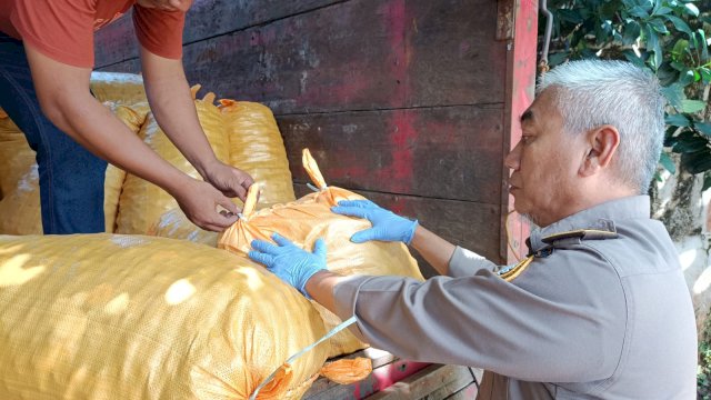 Pasok Ribuan Jengkol ke Ibu Kota, Sulsel Raup Untung Besar
