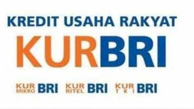 Dukung UMKM Naik Kelas, BRI Malino Salurkan Rp190 Milyar Dana KUR