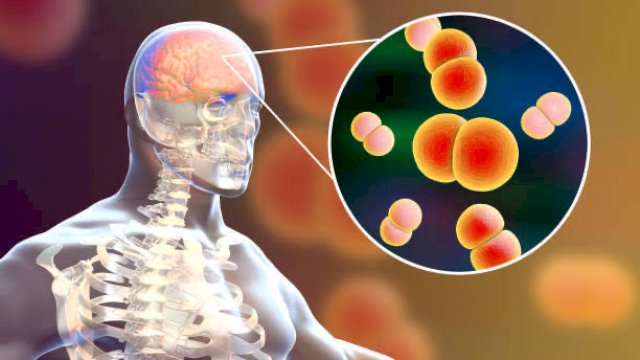 Masyarakat AS Diserang Jamur Otak, 2 Orang Meninggal Dunia