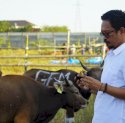 PD RPH Siapkan Ratusan Ekor Sapi untuk Kebutuhan Kurban