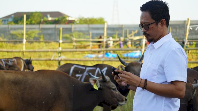 PD RPH Siapkan Ratusan Ekor Sapi untuk Kebutuhan Kurban