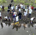 Komitmen Lestarikan Lingkungan, PT Vale IGP Morowali Gelar Kegiatan Bersih Pantai dan Tanam Mangrove