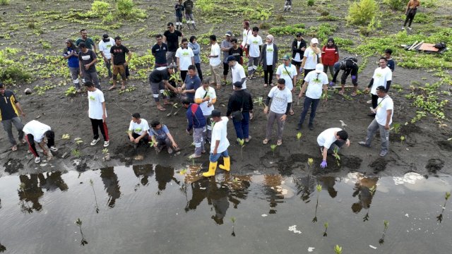 Komitmen Lestarikan Lingkungan, PT Vale IGP Morowali Gelar Kegiatan Bersih Pantai dan Tanam Mangrove