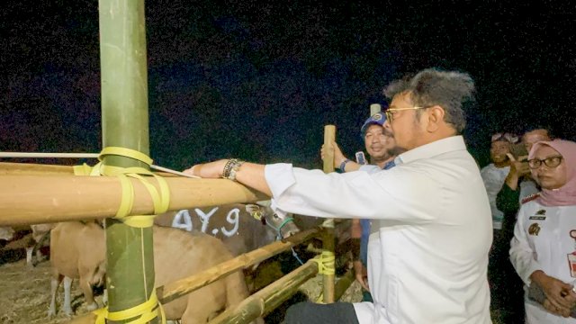 Mentan Pastikan Stok Kurban di Sulsel Aman Jelang Lebaran 