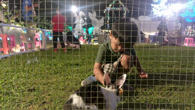 Kelinci Impor Jadi Wahana Bermain Anak di Makassar Light Festival