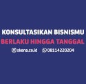 Pengusaha Wajib Daftar! Skena Creative Agency Buka Konsultasi Website Gratis 