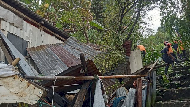 Rumah salah seorang warga di Kabupaten Pare-pare yang ambruk akibat pohon tumbang/Ist