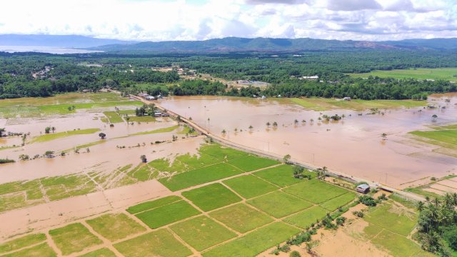 Program SRI Organik Bikin Petani di Desa Lamedai Dapatkan Hasil Panen Melimpah
