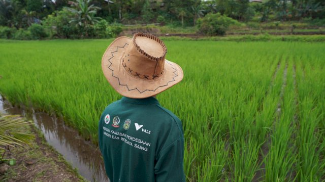 Pertanian Ramah Lingkungan, Langkah PT Vale Wujudkan Kemandiran Masyarakat di Area Pemberdayaan 