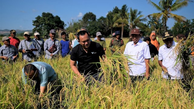 Cerita Petani Organik Binaan PT Vale: 11 Kali Panen, Hasil Makin Melimpah
