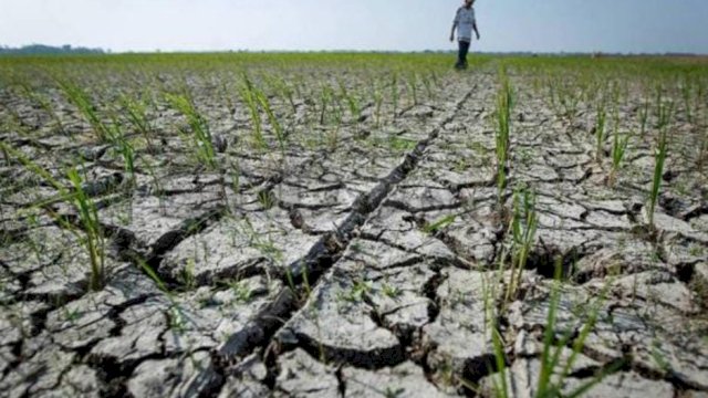 Kadin Gowa Atur Langkah Strategis Agar Krisis Air Tak Ganggu Produksi Pangan