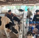 Kenalkan Dunia Peternakan ke Anak, Sekolah Alam Bosowa Kunjungi Fakultas Peternakan UNHAS