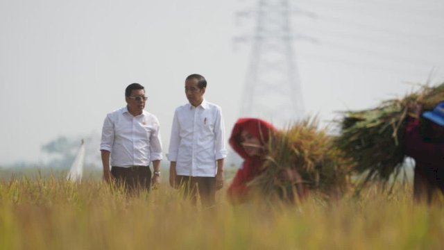 Presiden Jokowi Panen raya padi di Subang. Ia didampingi Plt Menteri Pertanian Arief Prasetyo.
