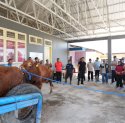 Kunjungan ke Pucak Maros, Pj Gubernur Bahtiar Dorong Inseminasi Buatan Tingkatkan Populasi Ternak