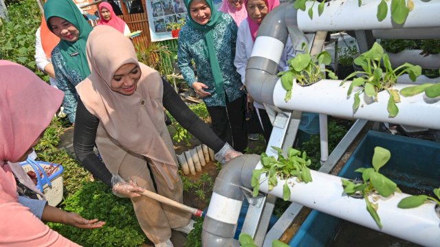 Pj Ketua TP PKK Sulsel, Sofha Marwah Bahtiar, berkunjung ke salah satu lorong binaan TP PKK Kota Makassar, di Kelurahan Maccini Sombala, Kecamatan Tamalate, Sabtu, 21 Oktober 2023.
