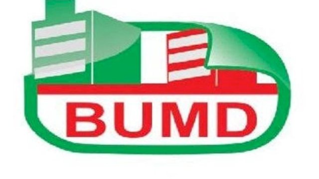 Bersarang Penyakit di Tubuh BUMD Sulsel: Berpotensi Picu Korupsi