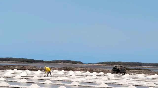 Musim Kemarau, Petani Garam Jeneponto Raup Hasil Melimpah
