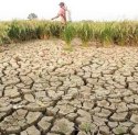 Kemarau Berpotensi Makin Parah, Peneliti Minta Waspada Gorila El Nino 