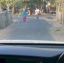 Viral Vidio Bacaleg Nasdem di Jeneponto Dihadang Parang saat Hendak Sosialisasi
