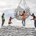 Siap-siap! Produksi Turun 30 Persen, Harga Gula Akan Naik