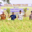 Petani Pinrang Pesta Panen Padi di Musim Kemarau, Pj Gubernur Optimistis Surplus 2 Juta Ton Beras Tercapai