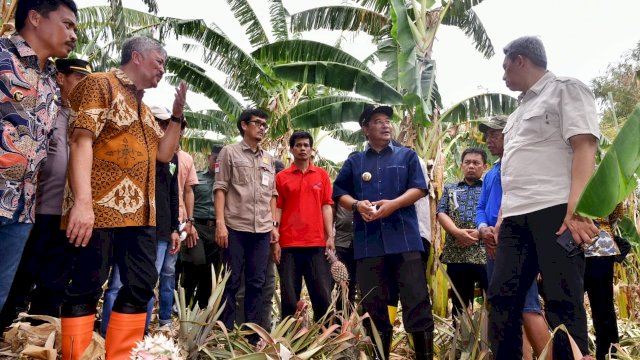 Pj Gubernur Sulsel, Bahtiar Baharuddin, mengunjungi Kawasan Pengembangan Hortikultura Kampung Pisang, di Dusun Bottae, Desa Makkawaru, Kecamatan Mattiro Bulu.