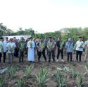 Pesantren As'adiyah Siapkan Lahan 100 Hektare untuk Pertanian dan Peternakan, Dukung Program Ketahanan Pangan Sulsel  