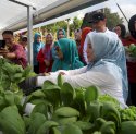 Sofha Marwah Bahtiar Panen Sayuran dan Beri Bantuan PMT untuk Anak Stunting dan Ibu Hamil KEK di Luwu Timur