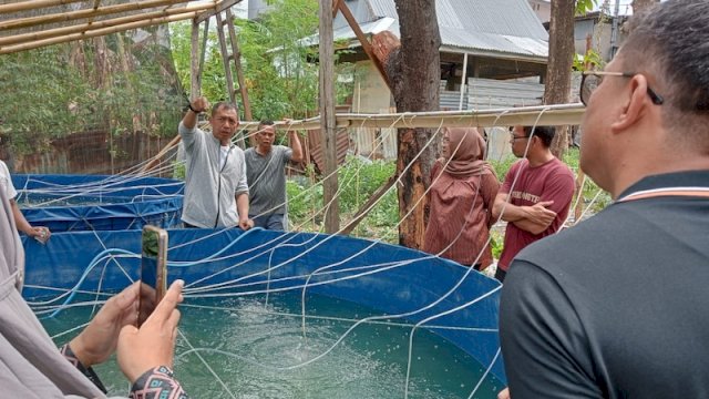 Akbar Ali Kunjungi Lokasi Budidaya Ikan Air Tawar Warga di Bukit Indah