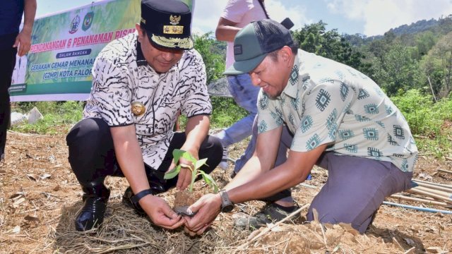 Pj Gubernur Bahtiar tanam pisang di Palopo.