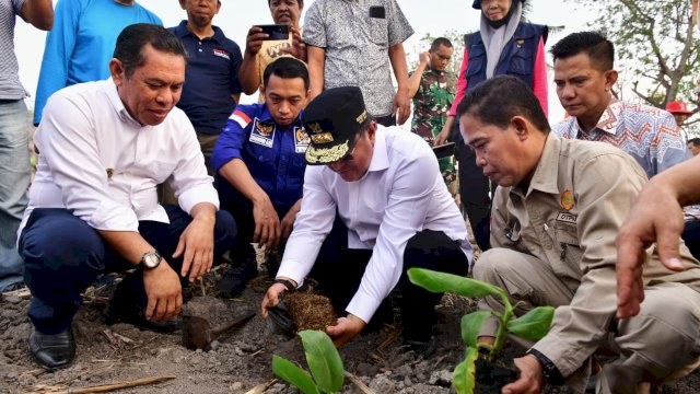 Penjabat Gubernur Sulsel Bahtiar Baharuddin, Wakil Ketua DPRD Sulsel Syaharuddin Alrif, Penjabat Sekprov Sulsel Andi Muhammad Arsjad, dan Wakil Bupati Sidrap Mahmud Yusuf, melakukan penanaman pisang di Kampung Datae, Kelurahan Lawawoi.