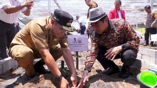 Launching Berjuta Bibit Pisang Cavendish, di Pusat Pembibitan Pisang Unhas, Kamis, 16 November 2023. 