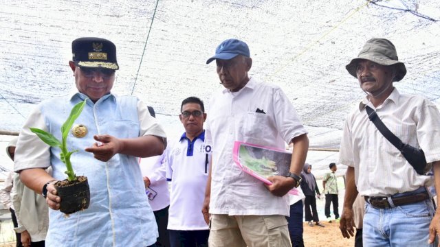 Pj Gubernur Sulsel, Bahtiar Baharuddin, melakukan peninjauan ke Sentra Pembibitan Pisang Cavendish di Dusun Waru, Batu Gading, Kecamatan Mare, Kabupaten Bone, Sabtu, 18 November 2023.