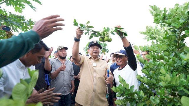Pj Gubernur Bahtiar panen Lemon Sidenreng, di Kabupaten Sidrap, Sabtu, 25 November 2023.