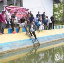 21.000 Benih Ikan Ditebar di Kolam Desa Wollangi, Program Ketahanan Pangan Pj Gubernur Sulsel
