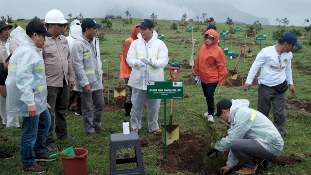 Tanam Pohon di Lappa Laona, Dirjen Planologi KLHK Apresiasi Upaya Vale Rehabilitasi Lahan DAS