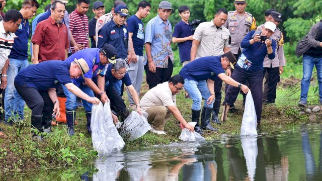 Penebaran benih sebanyak 8.000 ekor, di kolam pada lahan Pusat Pendidikan dan Pelatihan (Pusdiklat) Universitas Muhammadiyah (Unismuh) di Bollangi, Kabupaten Gowa, 30 Desember 2023.