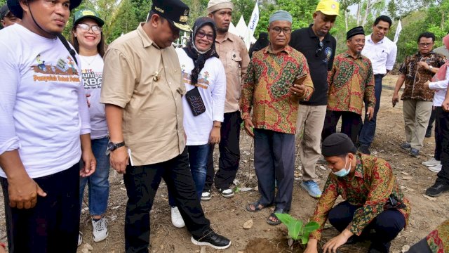 BUDIDAYA.Pj Gubernur Sulsel, Bahtiar Baharuddin, mendatangi Pondok Pesantren (Ponpes) Darul Arqam Muhammadiyah Balebo, Kabupaten Luwu Utara (Lutra), untuk mengajak santri terlibat dalam budidaya pisang cavendish.
