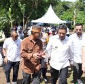 Dimulai dari Desa Biringere, Kades di Pangkep Yakin Masyarakat Tertarik Tanam Pisang Cavendish