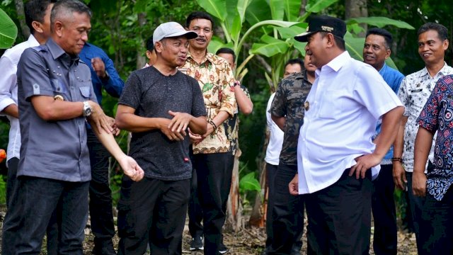 SUKSES.  Penjabat Gubernur Sulsel, Bahtiar Baharuddin saat menemui Salah seorang petani di Kabupaten Bone, Abdul Hafid Mappatoba, dari Kelompok Tani Mitra Utama 1, Desa Ulaweng Riaja, Kecamatan Amali, Kabupaten Bone.