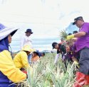 Petani Bawang Enrekang Antusias Bertemu Pj Gubernur Sulsel 