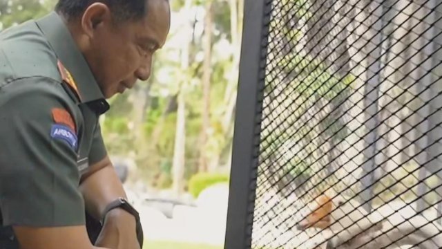 Jenderal Agus Punya Hewan Peliharaan 3 Ekor Angsa, Ini Namanya