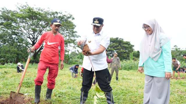 TANAM SUKUN.Pj Gubernur Sulawesi Selatan, Bahtiar Baharuddin, melakukan budidaya sukun di lahan milik Dinas Pemuda dan Olahraga Sulsel.&nbsp;