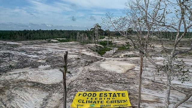 Food estate atau lumbung pangan yang digagas Presiden Joko Widodo (Jokowi) dinilai gagal.