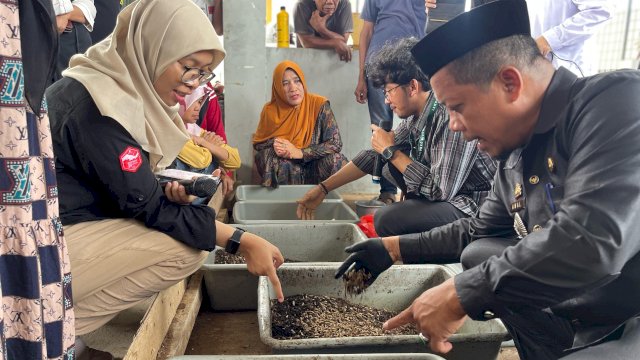 Pemerintah Kelurahan Lakessi Kecamatan Soreang Kota Parepare, kerjasama dengan Pertamina depo Parepare melakukan budidaya Manggot dan Bebek Peking.