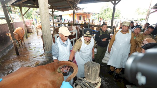 Penjabat Gubernur Sulsel, Bahtiar Baharuddin, secara langsung melakukan praktek inseminasi buatan (kawin suntik) di Rumah Potong Hewan H Pacong, di Lingkungan Pakalli, Alatenggae, Kecamatan Bantimurung, Selasa, 30 Januari 2024.